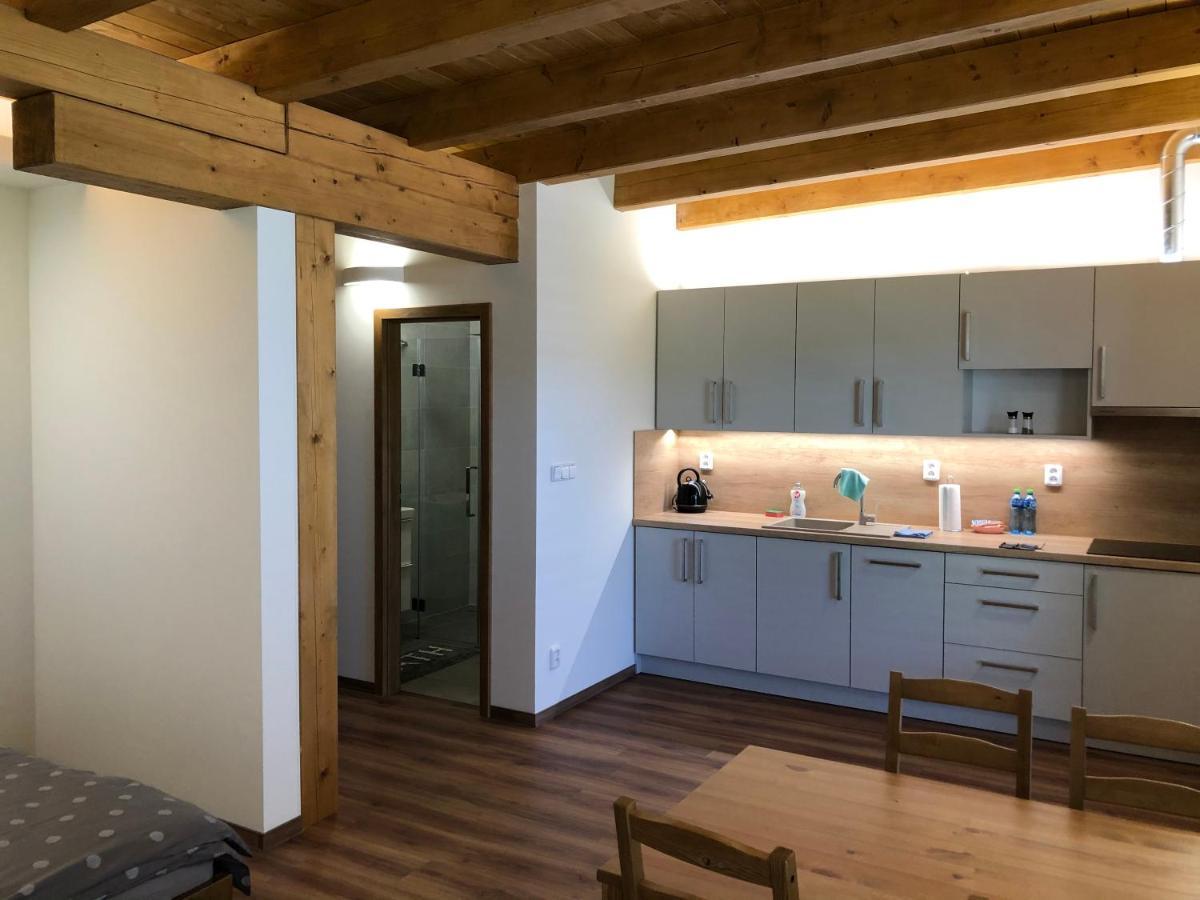 Anico Apartmany Dolni Benesov Екстериор снимка