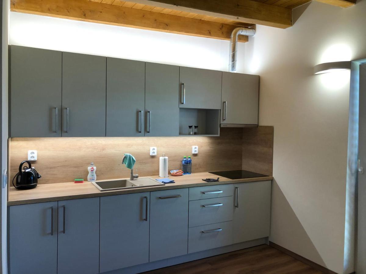 Anico Apartmany Dolni Benesov Екстериор снимка