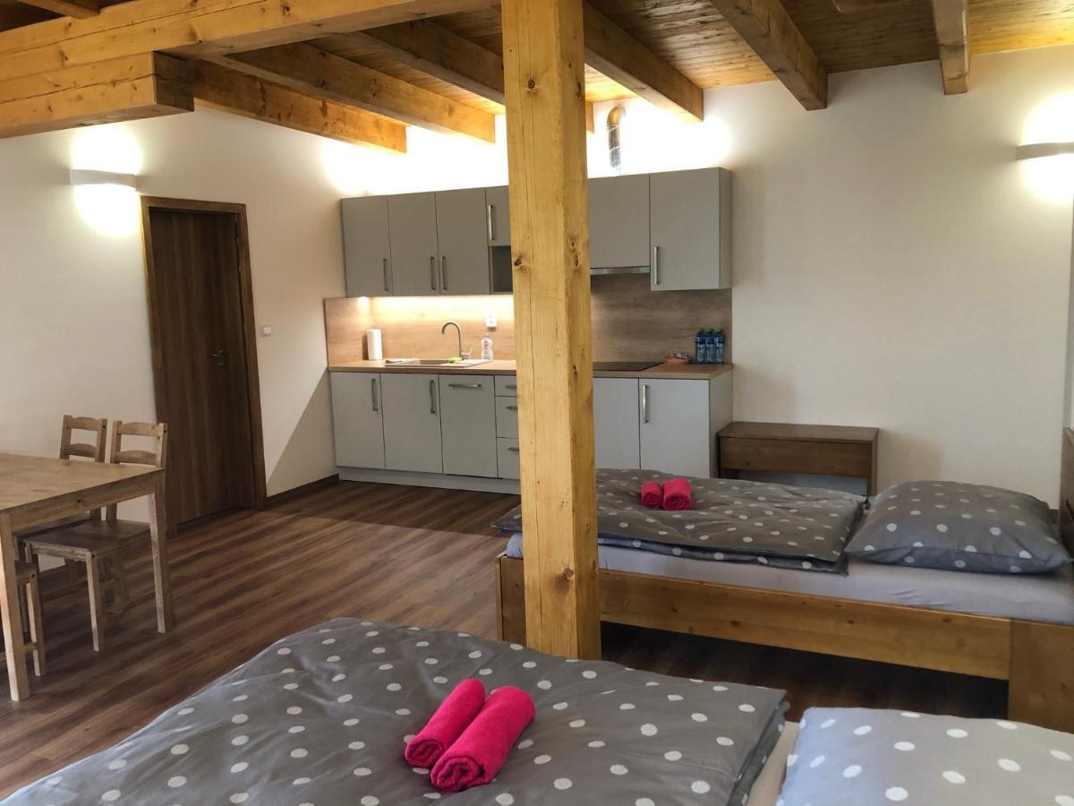 Anico Apartmany Dolni Benesov Екстериор снимка