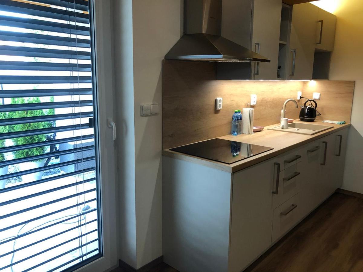 Anico Apartmany Dolni Benesov Екстериор снимка