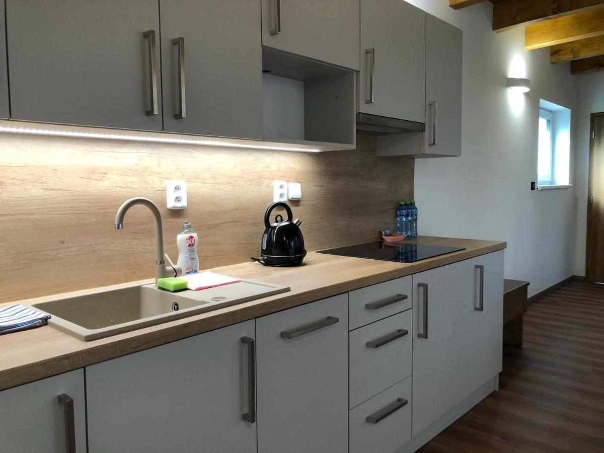 Anico Apartmany Dolni Benesov Екстериор снимка