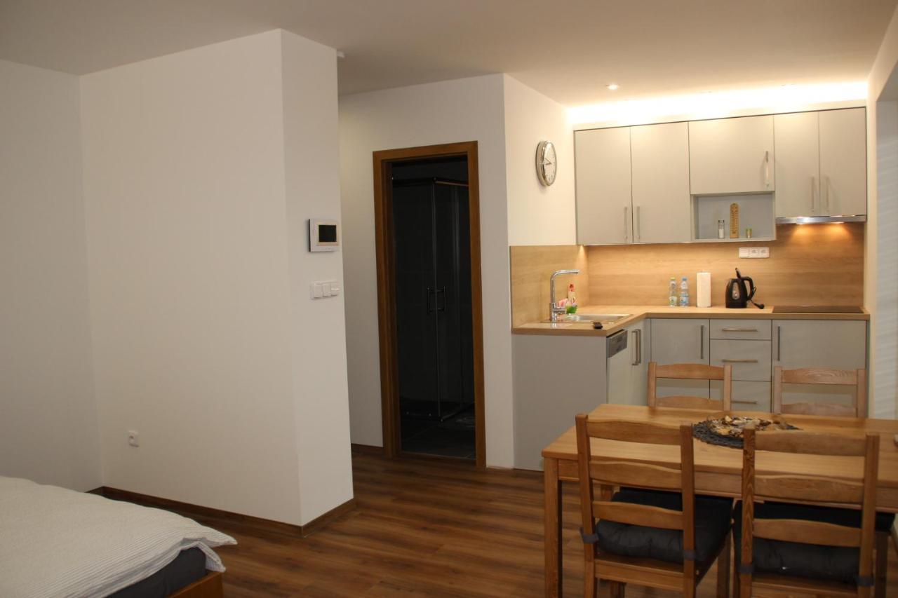 Anico Apartmany Dolni Benesov Екстериор снимка