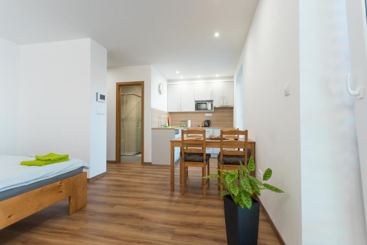 Anico Apartmany Dolni Benesov Екстериор снимка